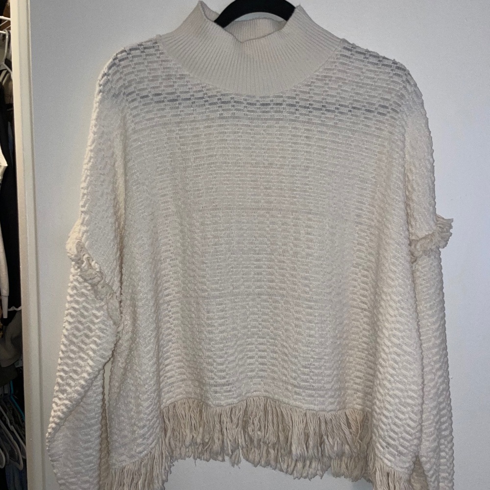 Zara Fringe Sweater